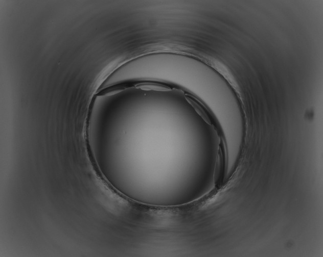 X0000091450946200708301807