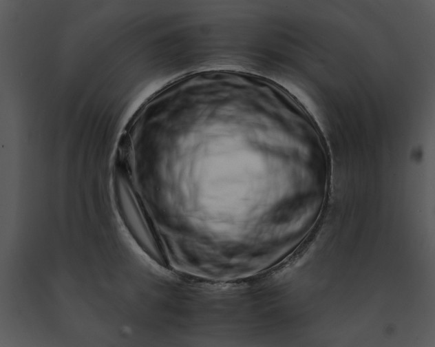 X0000091450949200708301807