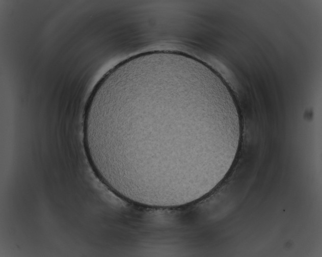 X0000091450950200708301807