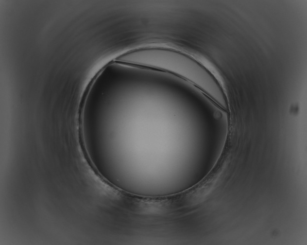 X0000091450951200708301807