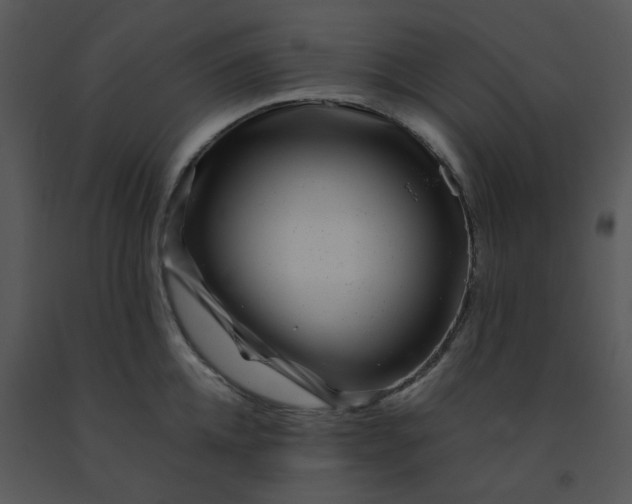 X0000091450952200708301807