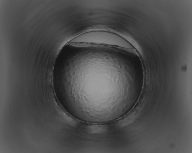 X0000091450953200708301807