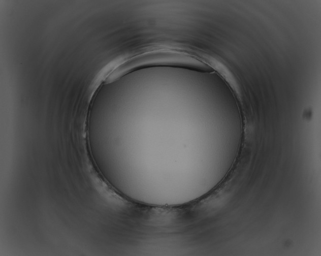 X0000091450954200708301807