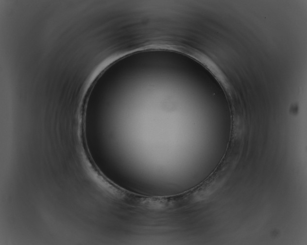X0000091450955200708301807