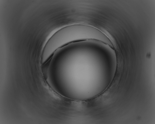 X0000091450956200708301807