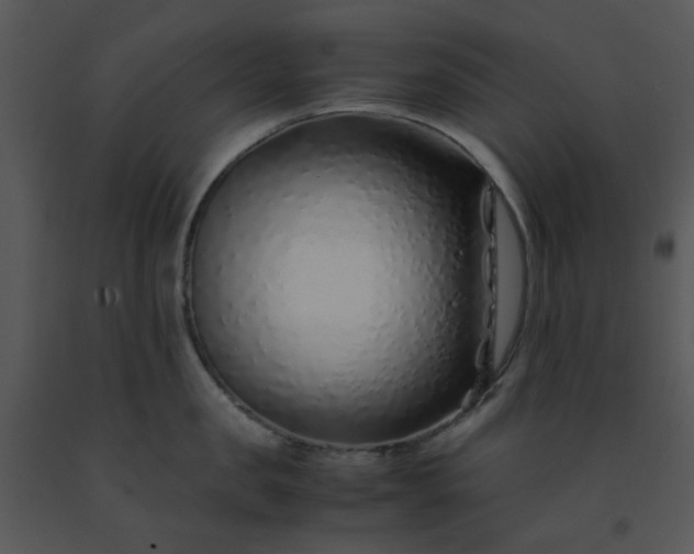 X0000091450957200708301807