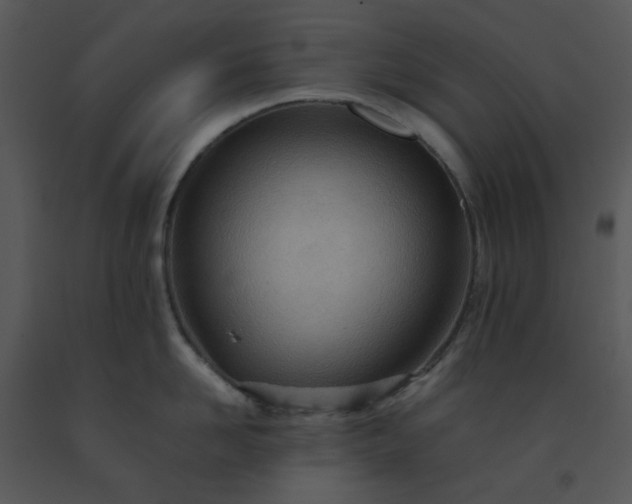 X0000091450958200708301807