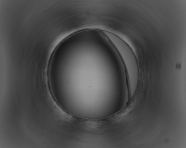 X0000091450959200708301807