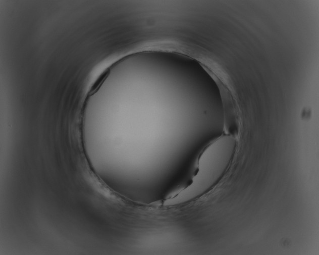 X0000091450960200708301807