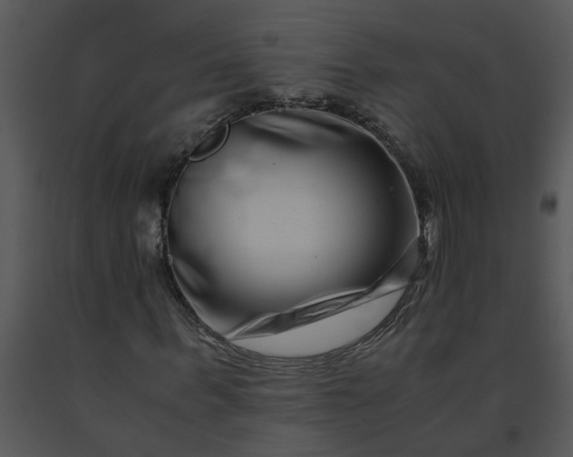 X0000091450963200708301806