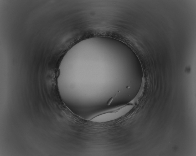 X0000091450964200708301806