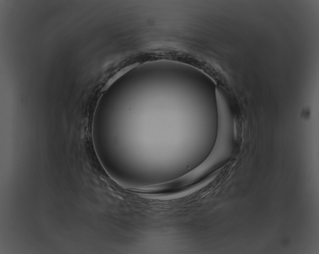 X0000091450965200708301806