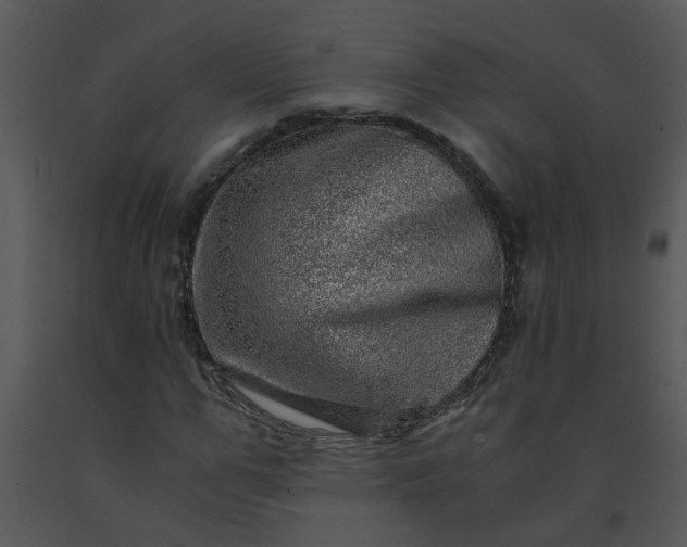 X0000091450967200708301806
