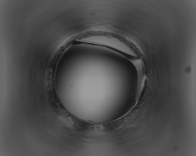 X0000091450968200708301806