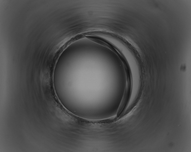 X0000091450969200708301806