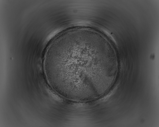 X0000091450970200708301806