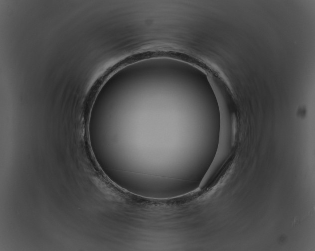 X0000091450973200708301806