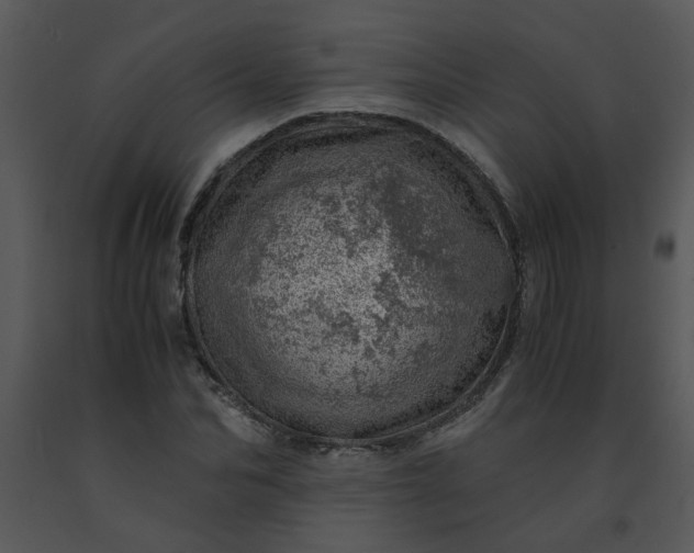 X0000091450974200708301806