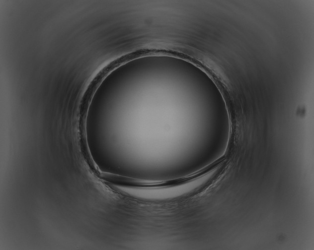 X0000091450976200708301806