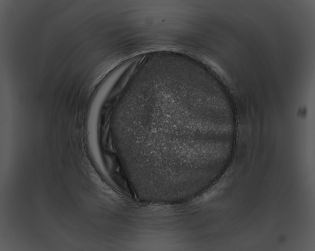 X0000091450977200708301806