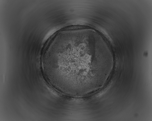 X0000091450978200708301806