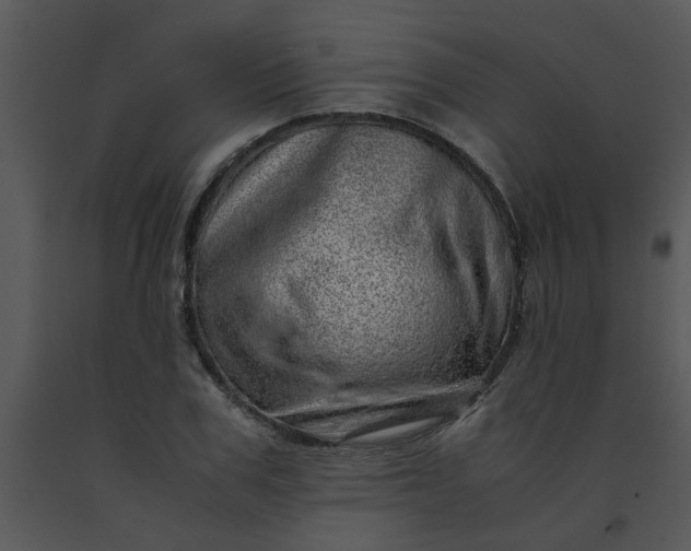 X0000091450979200708301806