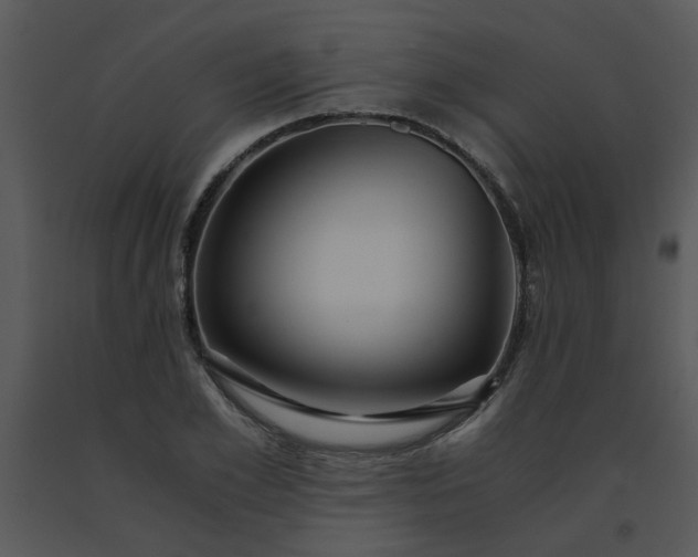 X0000091450981200708301806