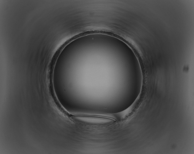 X0000091450983200708301806