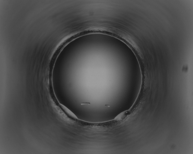 X0000091450984200708301806