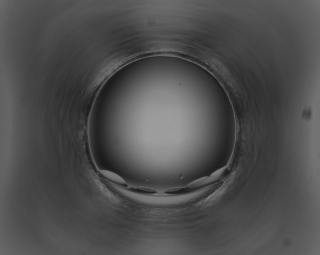X0000091450985200708301806