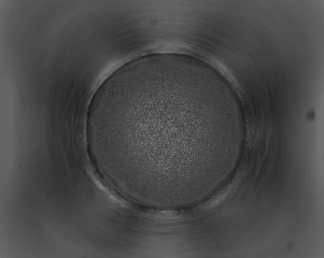 X0000091450986200708301806