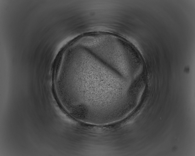 X0000091450987200708301806