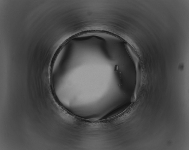 X0000091450988200708301806