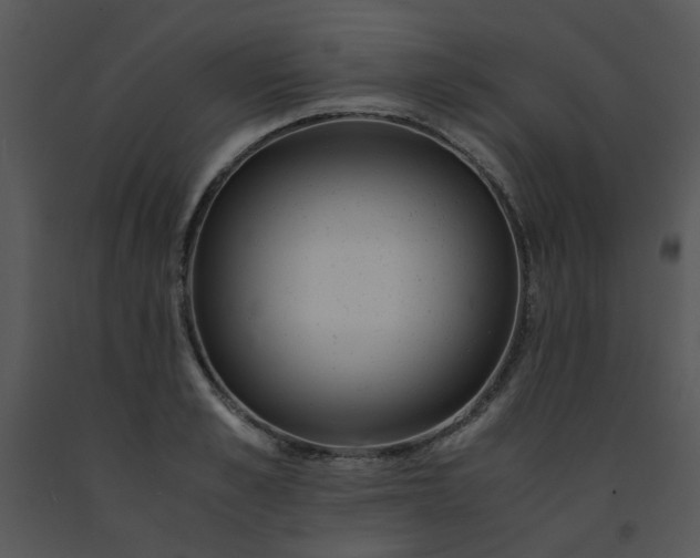 X0000091450989200708301806