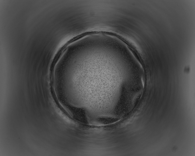 X0000091450990200708301806