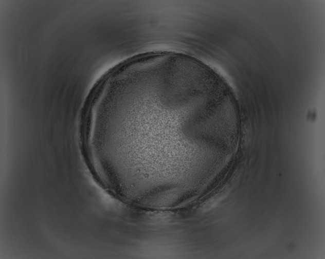 X0000091450991200708301806