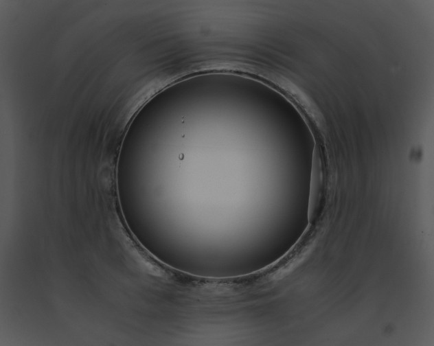 X0000091450993200708301806