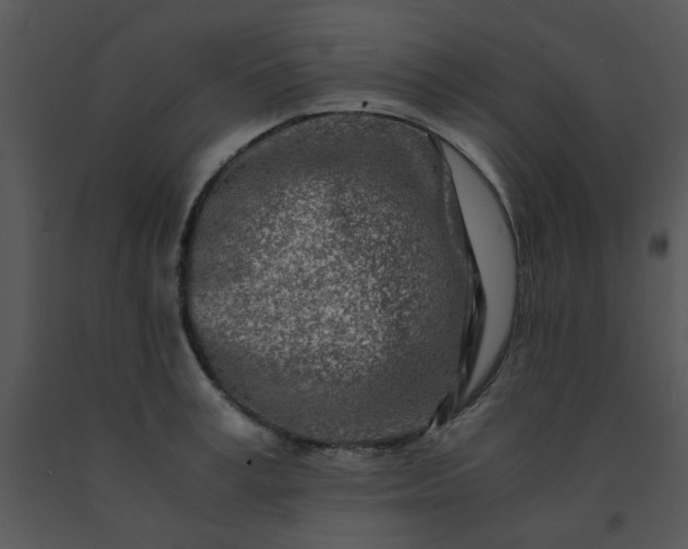 X0000091450995200708301806