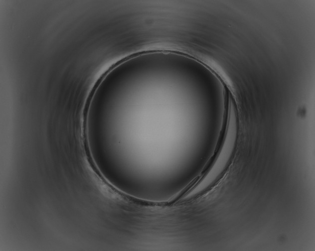 X0000091450996200708301806