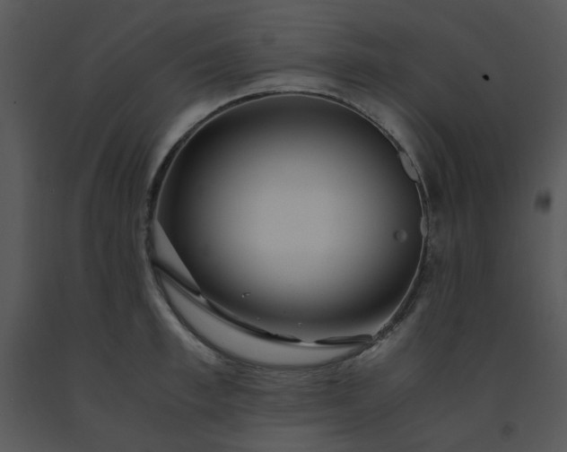 X0000091450997200708301806