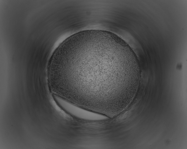 X0000091450998200708301806
