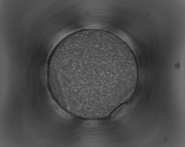 X0000091451000200708301806