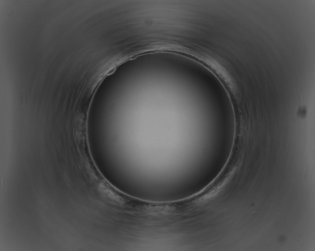 X0000091451001200708301806