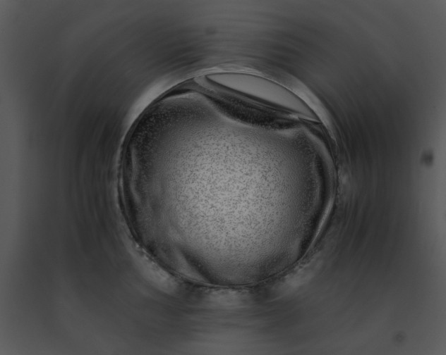 X0000091451002200708301806