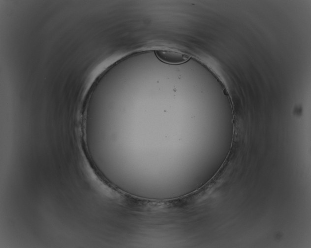 X0000091451003200708301806