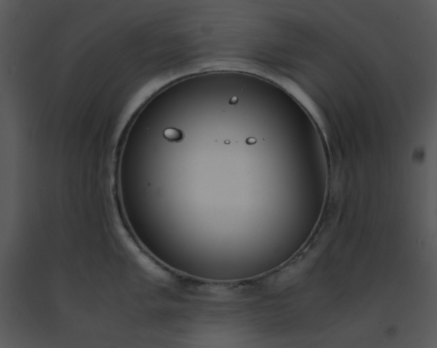 X0000091451005200708301806