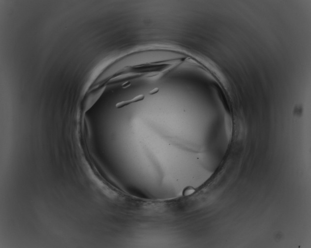 X0000091451006200708301806