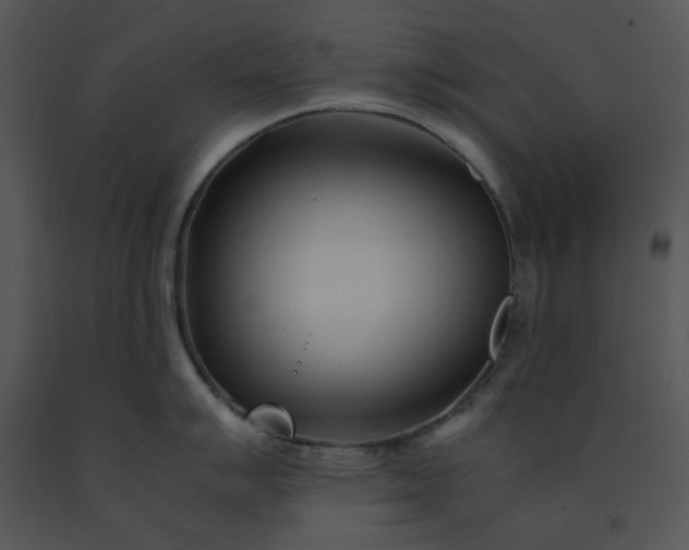 X0000091451007200708301806