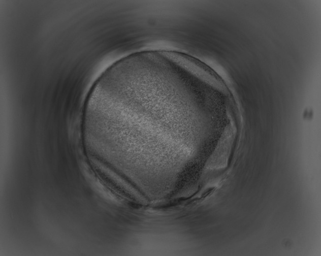 X0000091451008200708301806