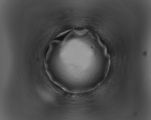 X0000091451009200708301805